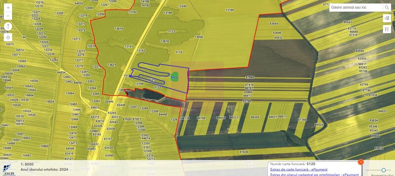 Teren 6,26 ha langa DEx12 Pitesti