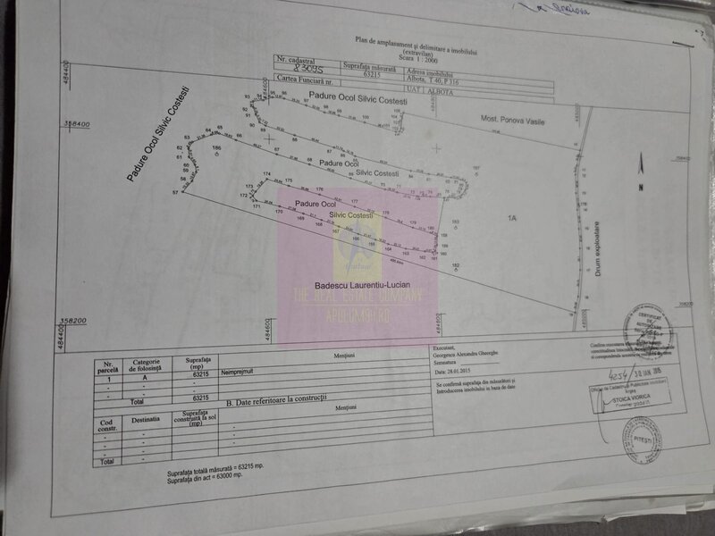 Teren 6,26 ha langa DEx12 Pitesti