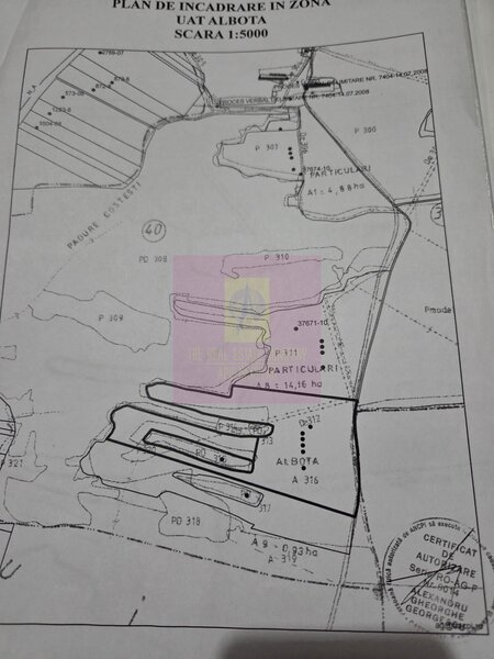 Teren 6,26 ha langa DEx12 Pitesti