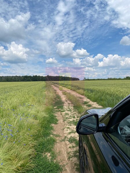 Teren 6,26 ha langa DEx12 Pitesti