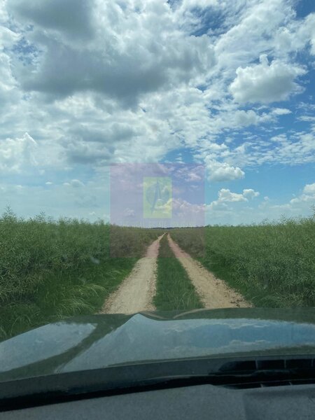 Teren 6,26 ha langa DEx12 Pitesti