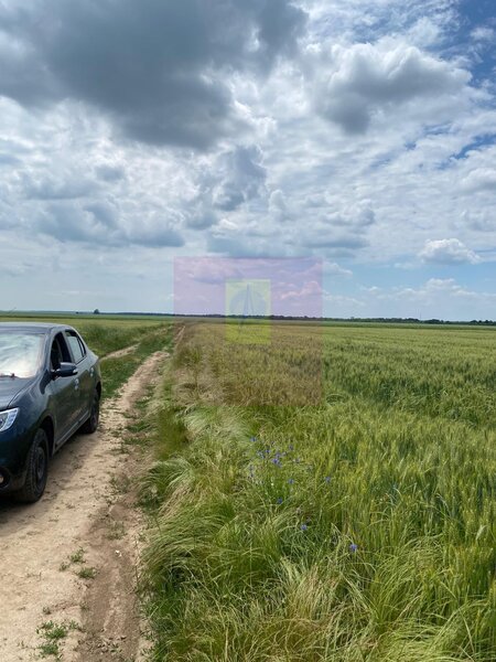 Teren 6,26 ha langa DEx12 Pitesti