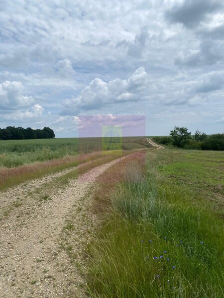 Teren 6,26 ha langa DEx12 Pitesti